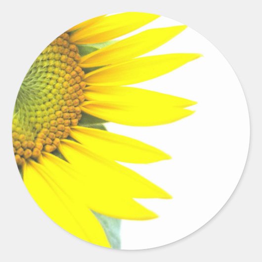 Lente zonnebloemen ronde sticker (Voorkant)