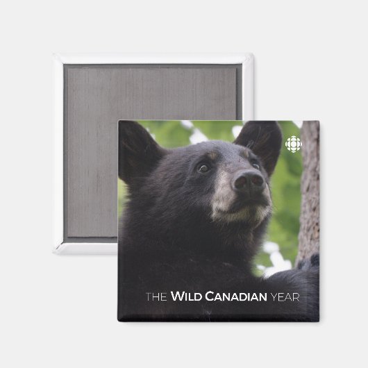 Lente - zwart Beer Magneet (Voorkant / Achterkant)