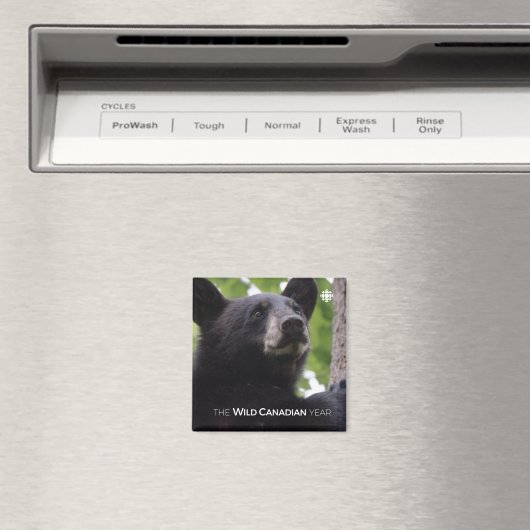 Lente - zwart Beer Magneet (Insitu (Vaatwasser))