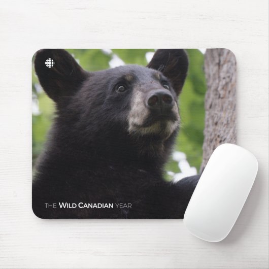 Lente - zwart Beer Muismat (Met muis)