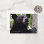 Lente - zwart Beer Notitiekaartje (Voorkant / Achterkant in situ)