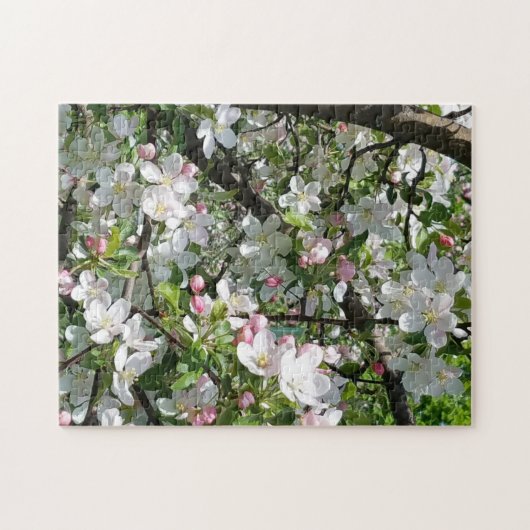 Lenteappelbloesem Legpuzzel (Horizontaal)