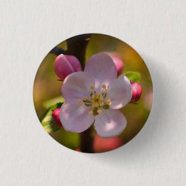 Lenteappelbloesem Ronde Button 3,2 Cm