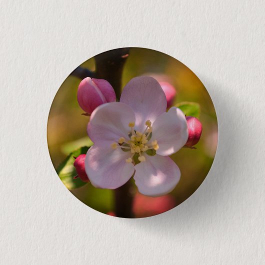 Lenteappelbloesem Ronde Button 3,2 Cm (Voorkant)
