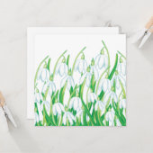 Lentebesneeuwklokjes  kaart (Voorkant / Achterkant in situ)