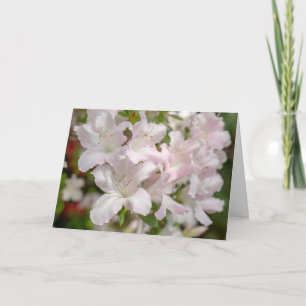 Lentebloeiende roze Azalea bloemen Bedankkaart