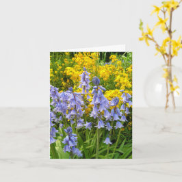 Lentebloemen boshyacinten en muurbloemen foto kaart