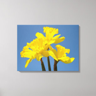 Lentebloemen Canvas afdrukken Blauwe Lucht