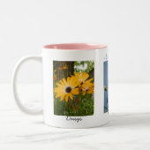 Lentebloemen Daisies Magnolia Crocuses Mok (Links)