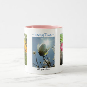 Lentebloemen Daisies Magnolia Crocuses Mok
