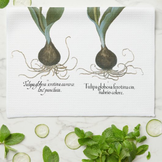 Lentebloemen met tulpen door Basilius Besler Theedoek (Gevouwen)