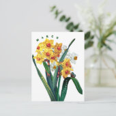 Lentebloemen Narcis Briefkaart (Staand voorkant)