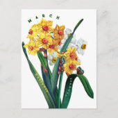 Lentebloemen Narcis Briefkaart (Voorkant)