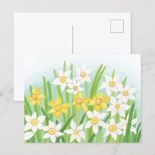 Lentebloemen Narcissen Briefkaart