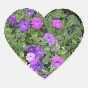 Lentebloemen Paarse tuin Petunia Bloemen Foto Hart Sticker