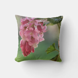 lentebloemen, Pasen, lente, natuur, roze Kussen