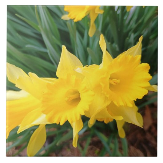 Lentebloemen Tegeltje (Voorkant)