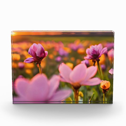 Lentebloemen voor Valentijnsdag Fotoblokken (Voorkant)