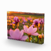 Lentebloemen voor Valentijnsdag Fotoblokken (Rechts)