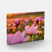Lentebloemen voor Valentijnsdag Fotoblokken (Links)