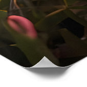 Lentebloemen voor Valentijnsdag Poster (Hoek)