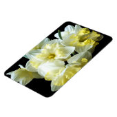 Lentebloemen witte gele narcissen magneet (Linkerzijde)
