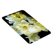 Lentebloemen witte gele narcissen magneet (Rechterzijde)