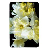 Lentebloemen witte gele narcissen magneet (Verticaal)