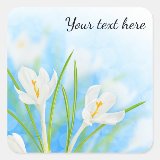 Lentebloemen (witte krokus) vierkante sticker (Voorkant)