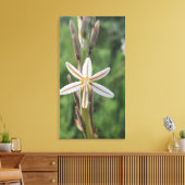 Lentebloemen Zuid-Afrika Canvasprint Canvas Afdruk (Insitu (Woonkamer))