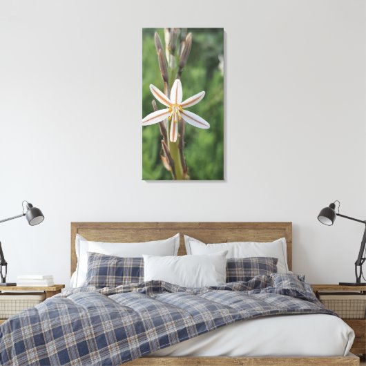 Lentebloemen Zuid-Afrika Canvasprint Canvas Afdruk (Insitu (Slaapkamer))