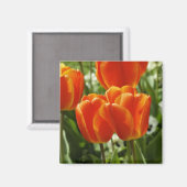 Lentebloementuin Magneet (Voorkant / Achterkant)
