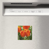 Lentebloementuin Magneet (Insitu (Vaatwasser))