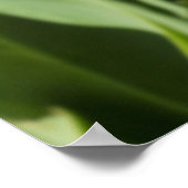 Lentebloementuin Poster (Hoek)