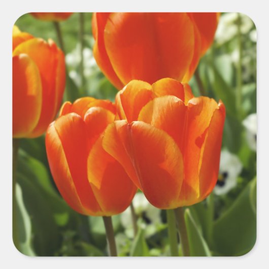 Lentebloementuin Vierkante Sticker (Voorkant)