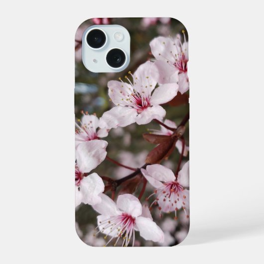 Lentebloesem Sakura iPhone 15 Case (Achterkant)