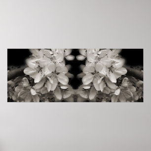 Lentebloesems Zwart En Wit Spiegel Abstract Poster