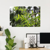 lenteboom in de regen poster (Thuiskantoor)