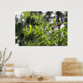 lenteboom in de regen poster (Keuken)