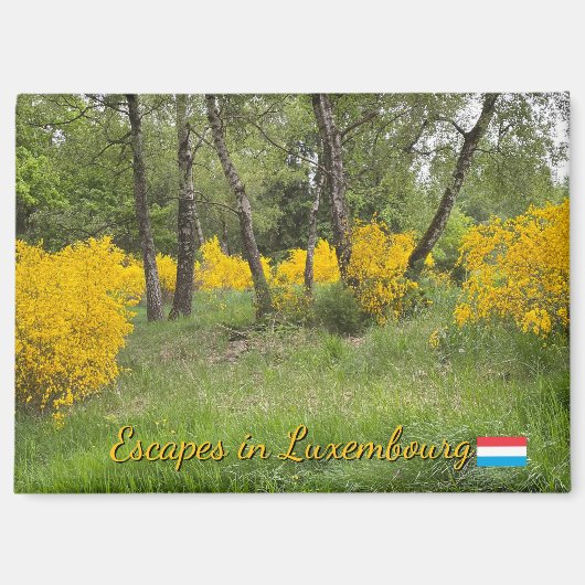 Lentebos in Luxemburg reis Magneet (Voorkant)