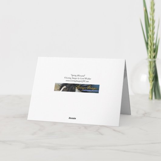 Lentebuien - Wilde paard wenskaart Kaart (Achterkant)