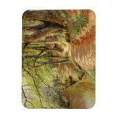 Lentedag in het bos door Peder Mork Monsted Magneet (Verticaal)