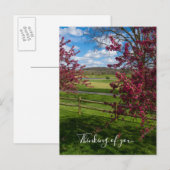 Lentedag in Rivercut Denking You Briefkaart (Voorkant / Achterkant)
