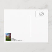 Lentedag in Rivercut Denking You Briefkaart (Achterkant)