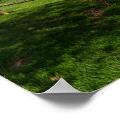 Lentedag in Rivercut Poster (Hoek)