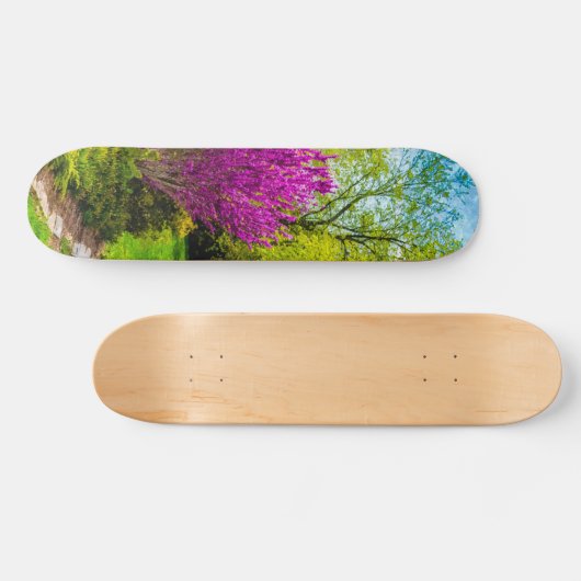 Lentedag Painterly Persoonlijk Skateboard (Horizontaal)