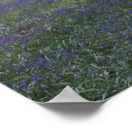 lentedagen poster (Hoek)