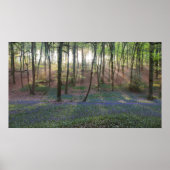 lentedagen poster (Voorkant)