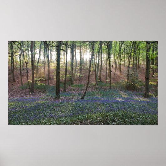 lentedagen poster (Voorkant)