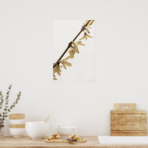 Lentedouches op Forsythia Flowers Poster